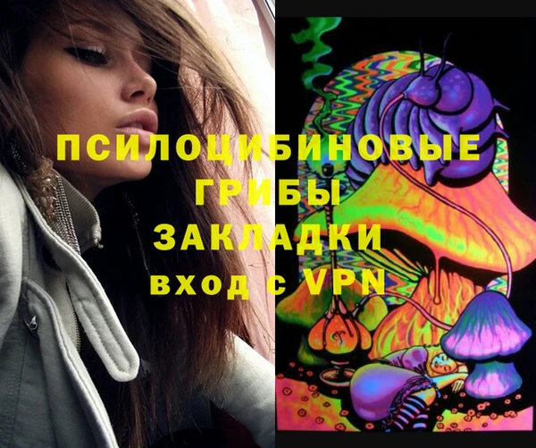 дмт Аркадак