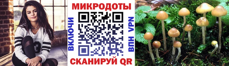 купить  сайты  Углич  Псилоцибиновые грибы Cubensis 